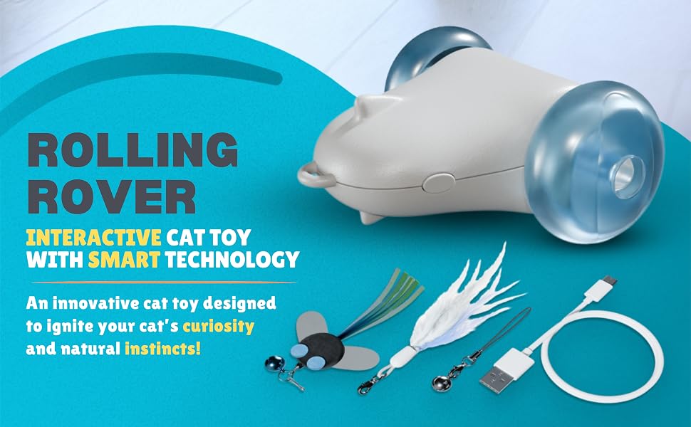 cat toy kitten must haves accessories automated electronic cat toys for indoor cats