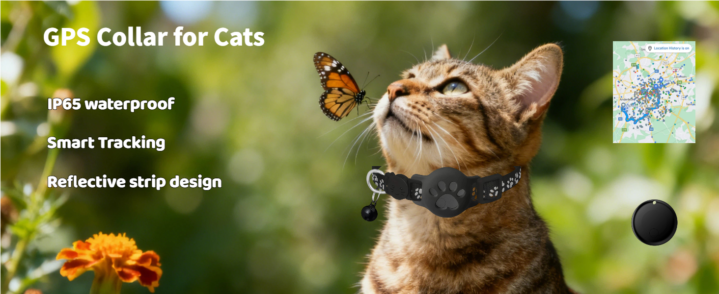 GPS Collar for Cats
