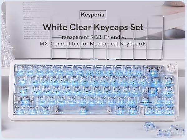 Keyporia clear transparent keycaps