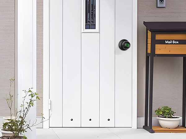 Biometric Door Knob with Lock