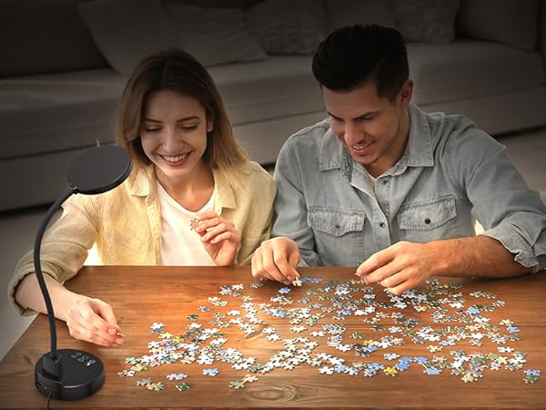 gooseneck clamp light fixture