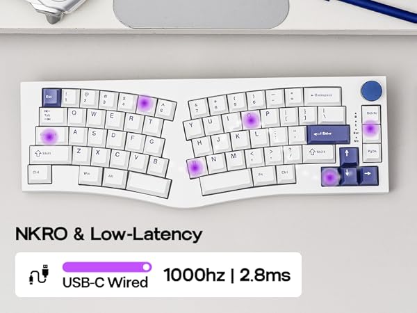 Alice80 Blue