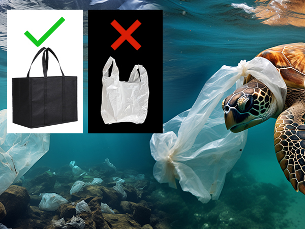 Reusable Grocery Bags