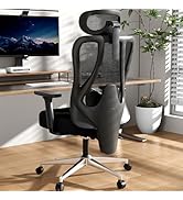 Hbada P3 Pro Ergonomic Office Chair with 2D Adjustable Lumbar Support, Office Desk Chair with 3D ...