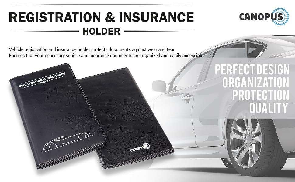 Insurance and registration holder