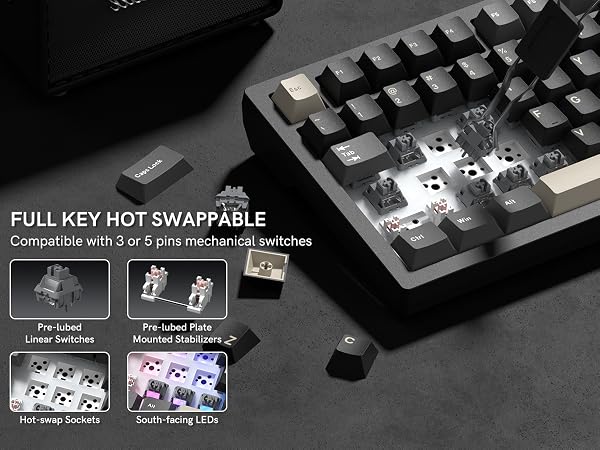 FULL KEY HOT SWAPPABLE 