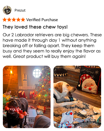 dog toys for aggressive chewers