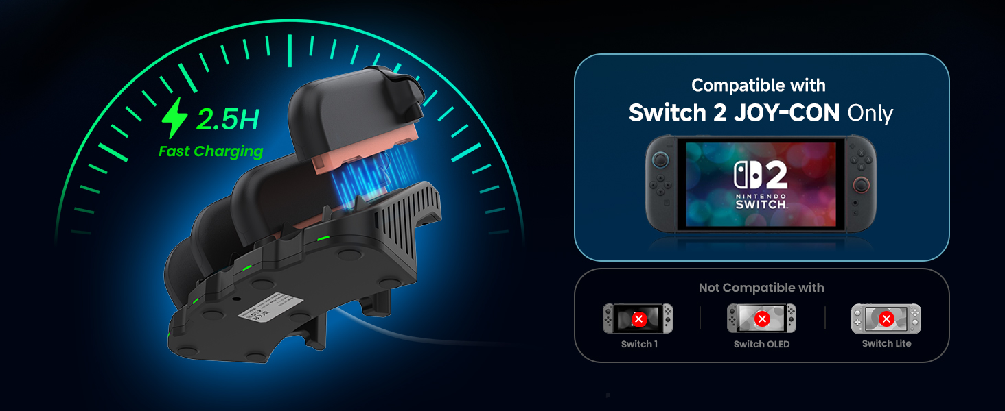 switch 2 joycon charging grip