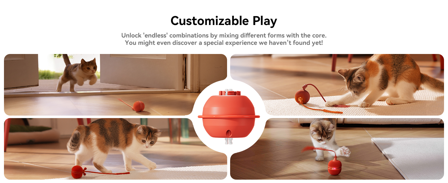 cat enrichment toys for indoor cats