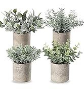 Miracliy Mini Potted Fake Plants Faux Artificial Eucalyptus Boxwood Rosemary Greenery in Gray Pot...
