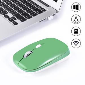 2.4G Noiseless Computer Mouse with USB Receiver
