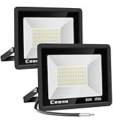Ceena 2 Pack 60W Hardwired LED Flood Light Outdoor, 6000lm Super Bright Floodlight, IP66 Waterpro...