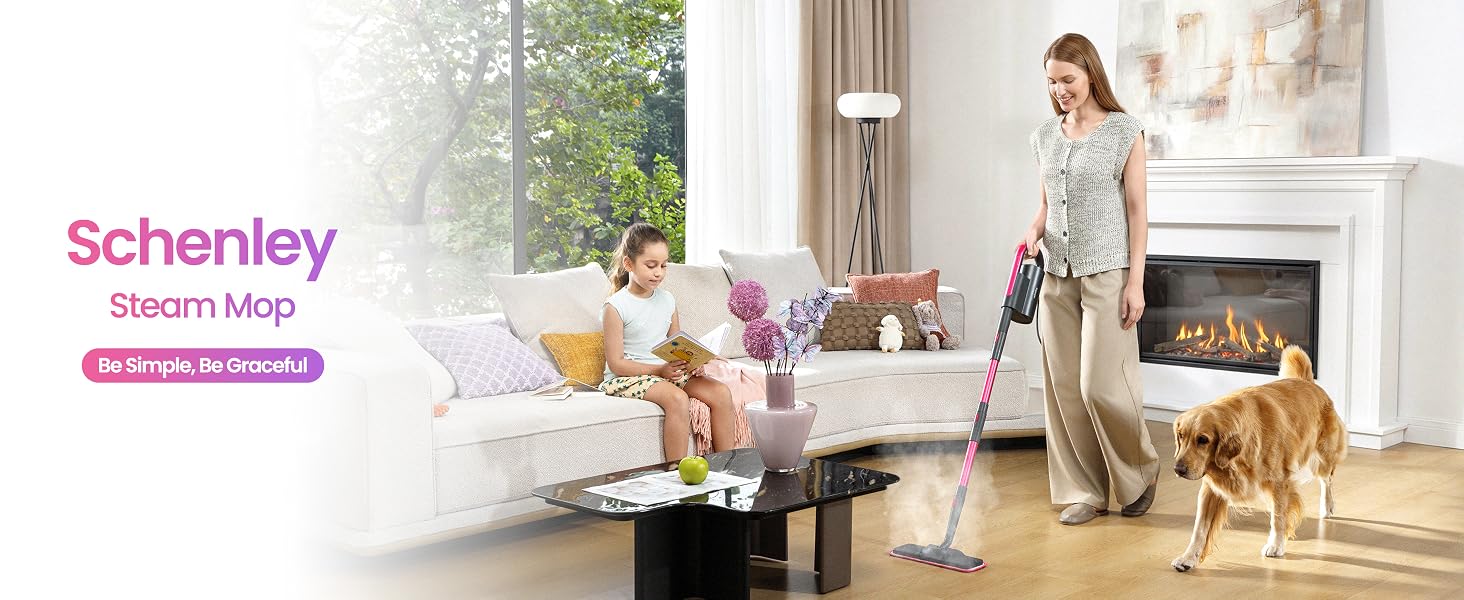 Schenley Steam Mop