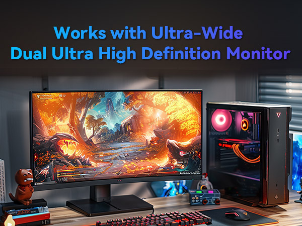 displayport cable TD3 DP80