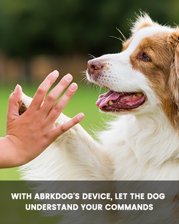 ABRKDOG Anti Barking Device,