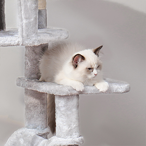cat tree