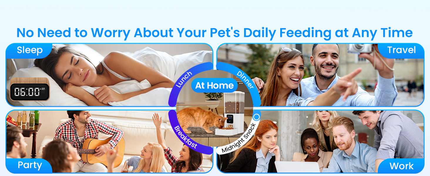 automatic cat feeder