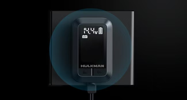 battery Desulfator