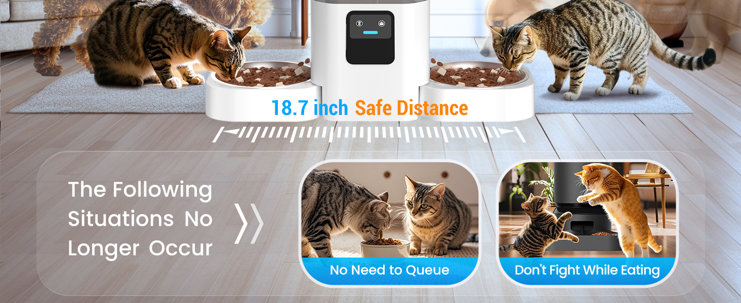 automatic dog feeder