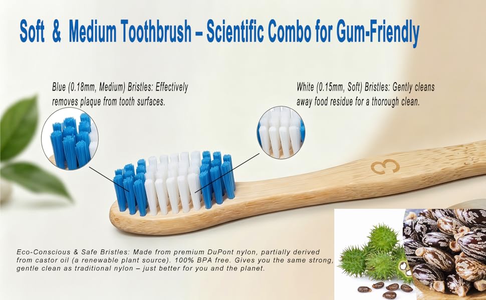 Our plant based bristles are made from castor oil extract and DuPont nylon.BPA Free