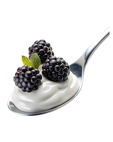 Yogurt Strainer