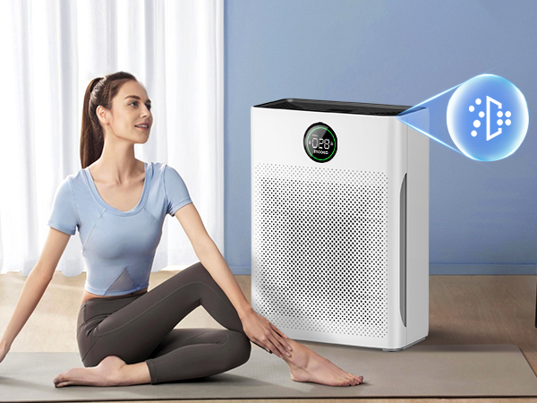 air purifier for home air purifiers for bedroom air purifier dorm large room hepa pets
