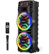 Wireless Bluetooth Party Speaker with Dual 12 Inches Woofers