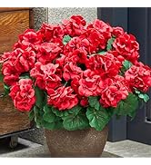 SITUMEIZI Artificial Geranium Flowers for Outdoors Geranium Red Flower Outdoor Garden Plants 4Pcs...