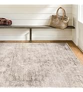 Abstract Area Rug for Living Room - 5x7 Washable Rug for Large Entryway, Mudroom, Home Office, Ne...