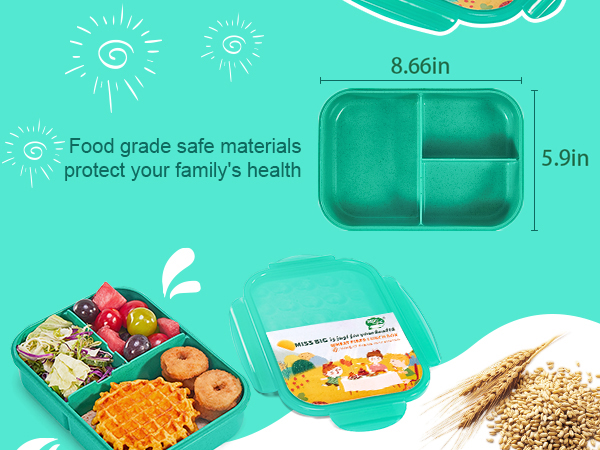 bento lunch box for kids