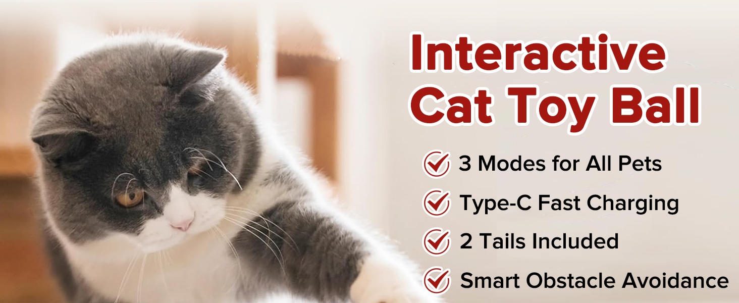 Cat Toy Ball