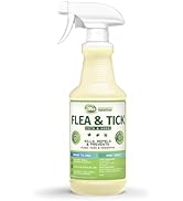 Mosquito Magician Indoor and Outdoor Spray - Use for Carpet, Furniture, Bedding, Couches &amp; Pets –...