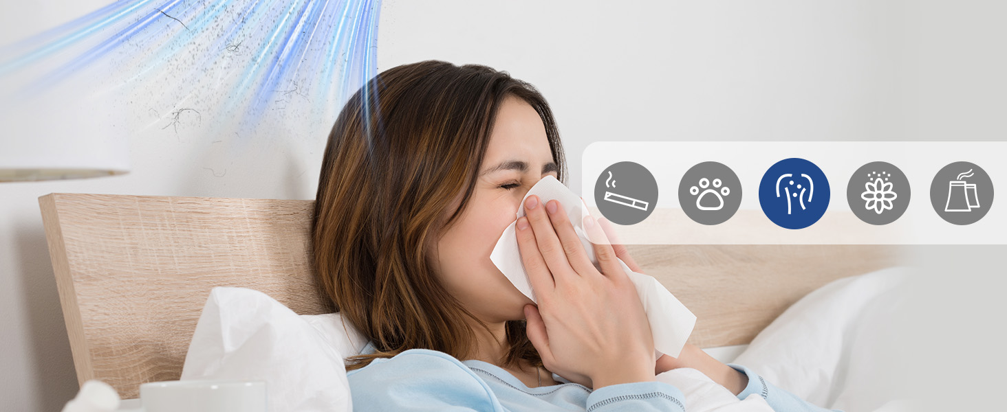 air purifiers for home large room