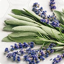 Lavender + Sage