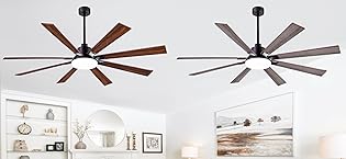 ceiling fan