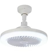 Souxgjey Small Ceiling Fan with Lights,10 inch Adjustable 3 Color Temp E27 LED Ceiling Fans for B...