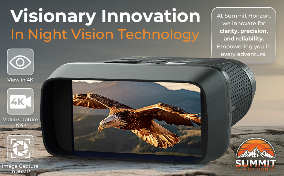 Visionary Innovation