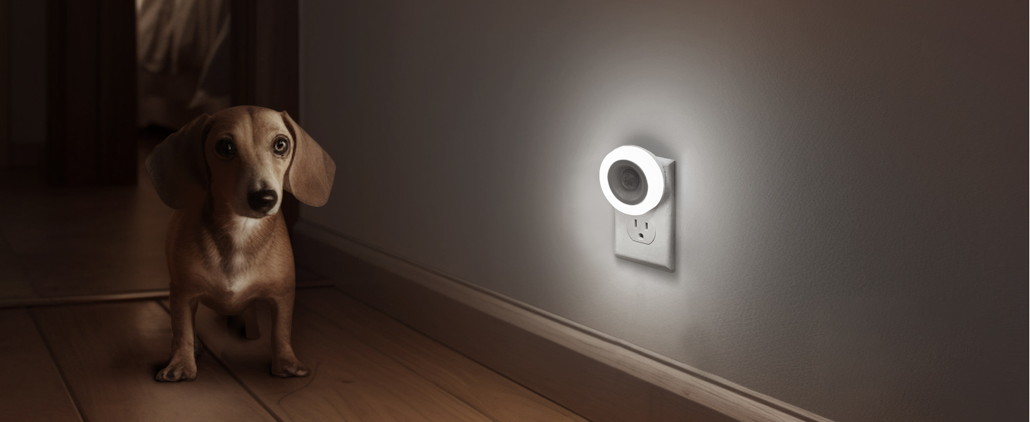 Pet Guiding Night Light