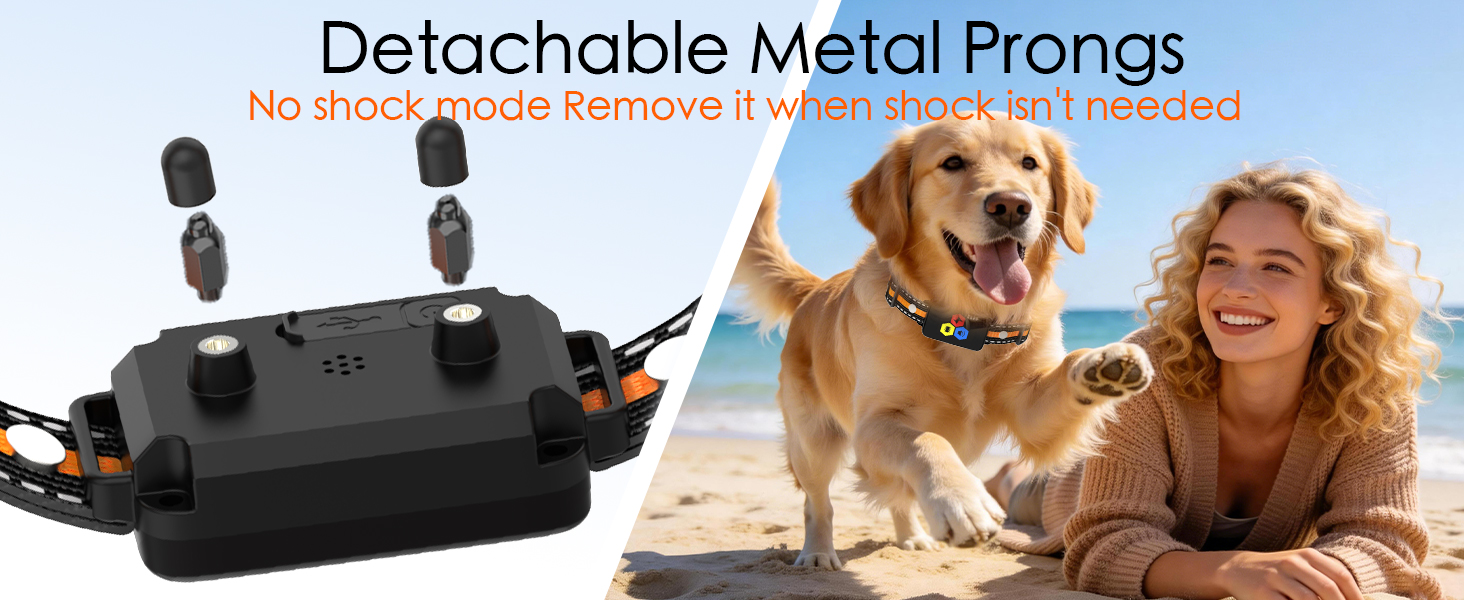 training collar for medium dogs