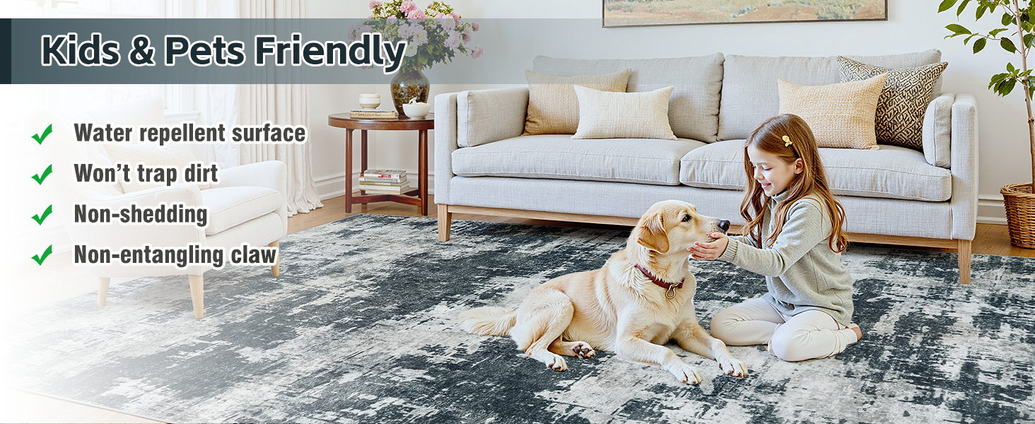 area rugs for living room