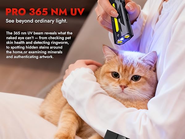 flashlight rechargeable