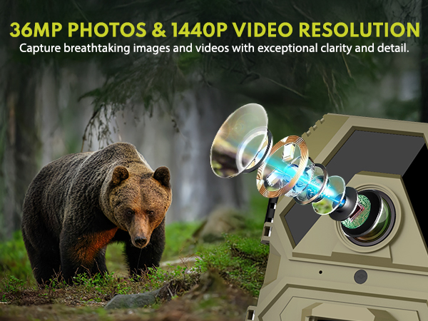 trail cameras with night vision motion activated waterproof