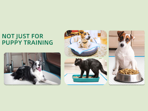 Multiple Usages Disposable Dog Pee Pads