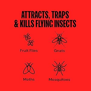 Dynatrap indoor fly trap attracts and kills flying insects