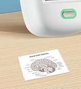 ORGSTA S002 Sticker Printer - Mini Printer Portable Thermal Sticker Printer Bluetooth Print Pod I...