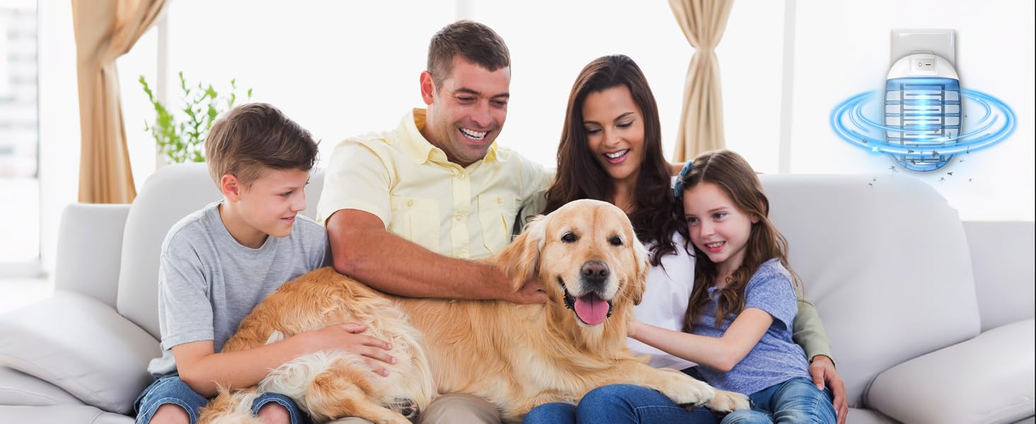 fly traps indoor for home