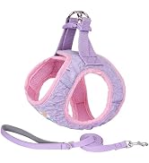 AIITLE Step-in Dog Harness and Leash Set for Walking, No Pull Dog Vest Harness, Cute Seersucker, ...