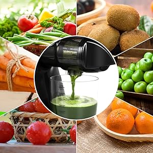 cold pressed juicer