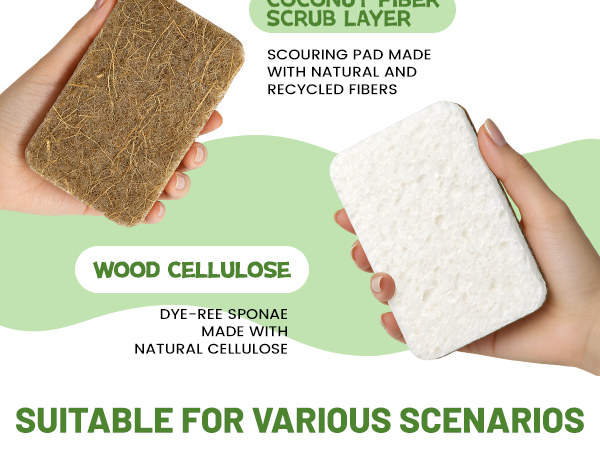 Kitchen Sponge