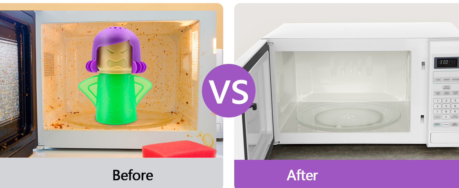 microwave cleaner